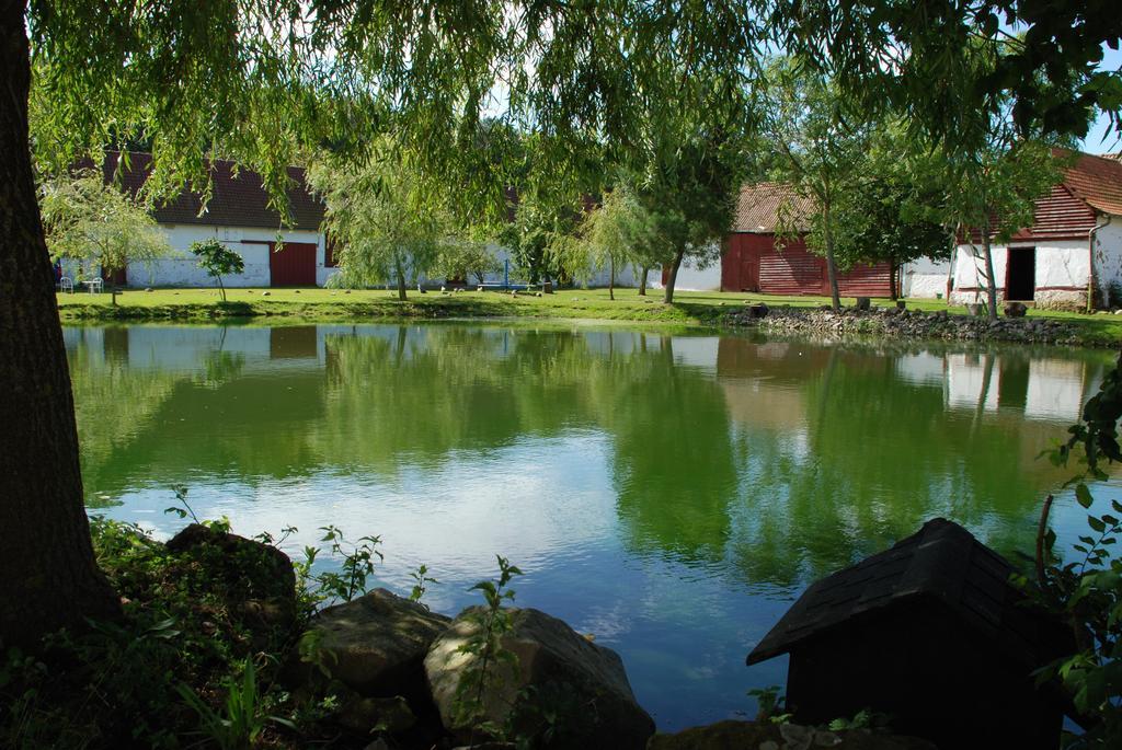 Domaine De Collen Bed and Breakfast Lépine Eksteriør billede